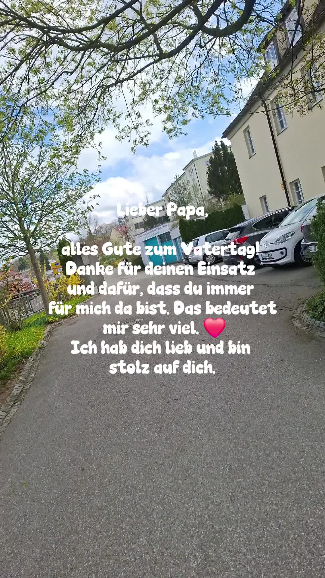 @Sophie171003❤️