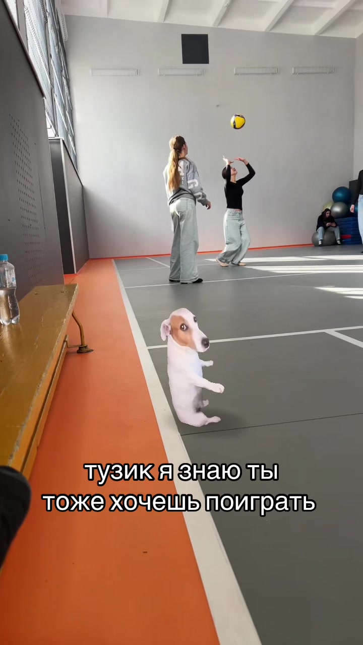 @vikuuuwerl