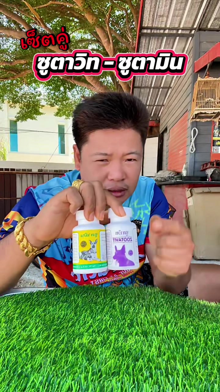 @วุดดี้ รีวิว56