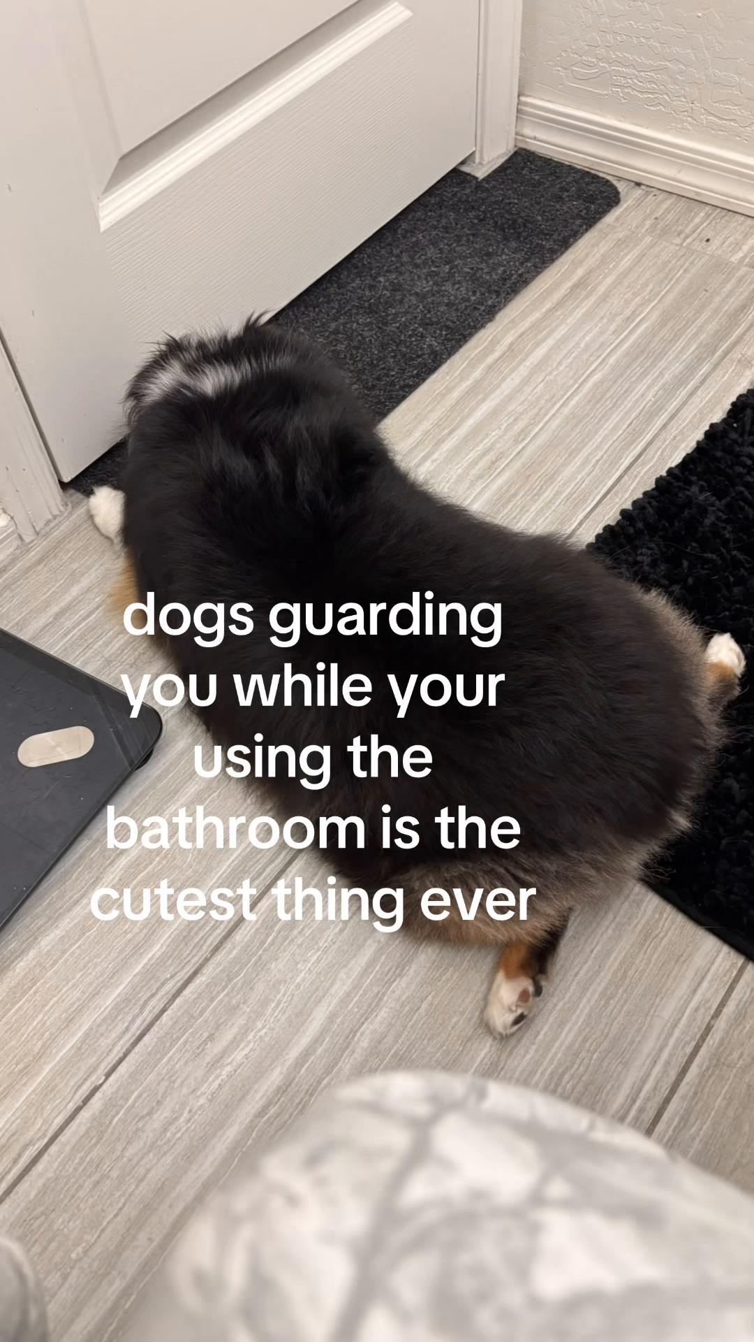 @Sasha