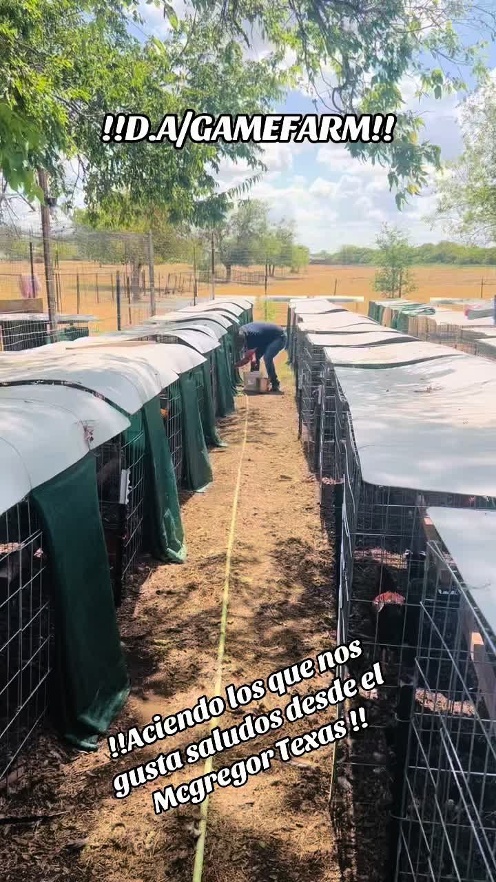 @DAgamefarm