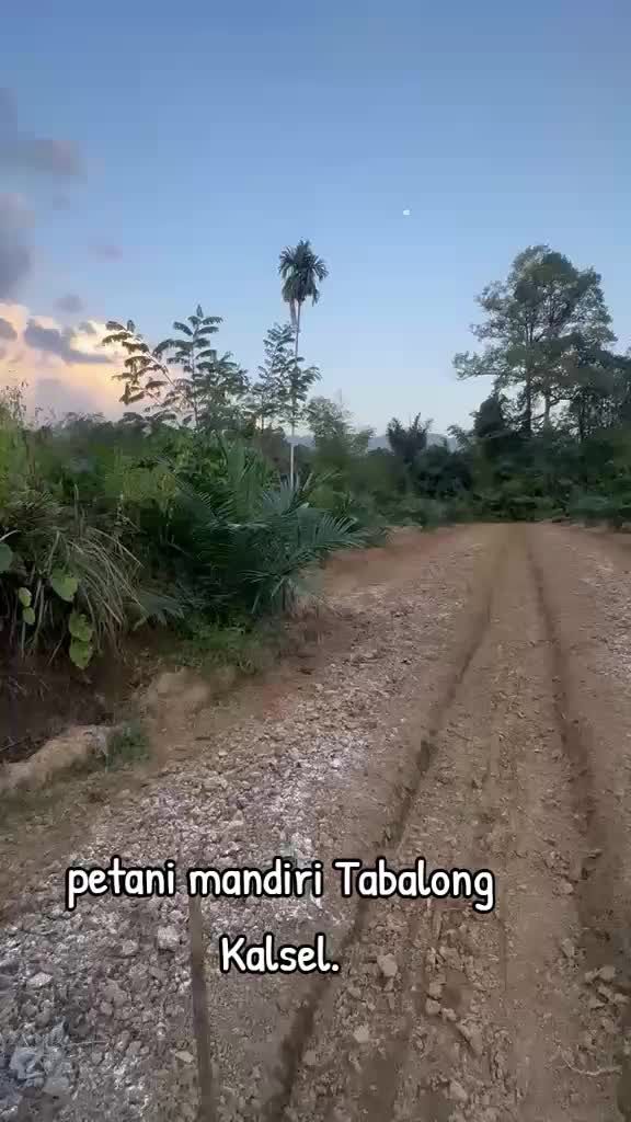 @SURYA TANI