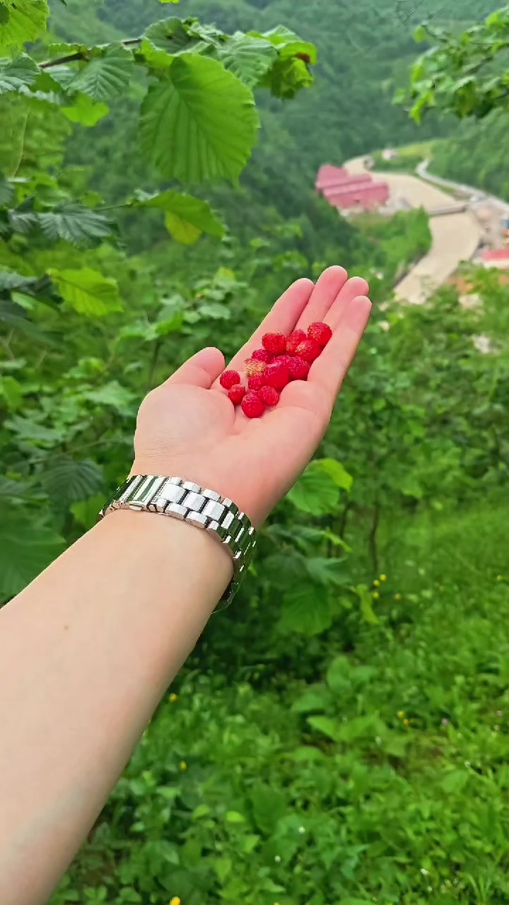 @laz kızı _28_07