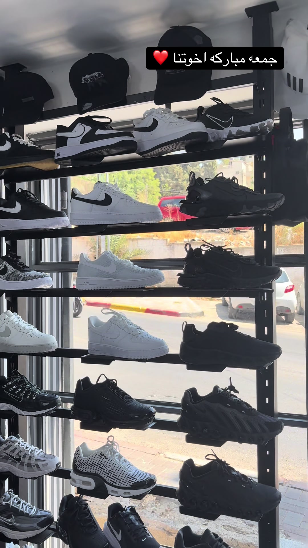 @WOLF SPORT
