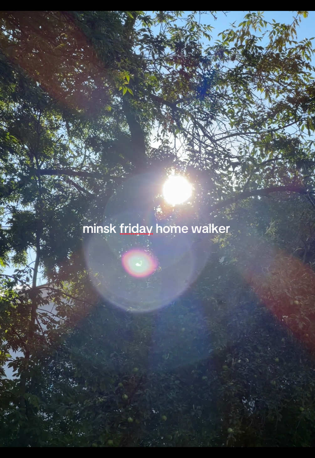 @тгк: WHARKIS