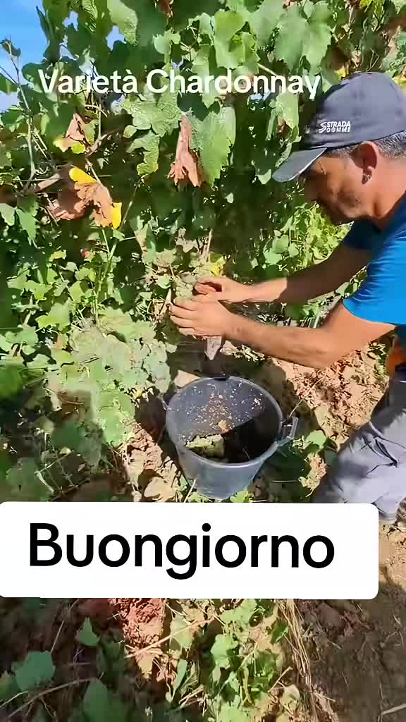 @Maurizio mulè