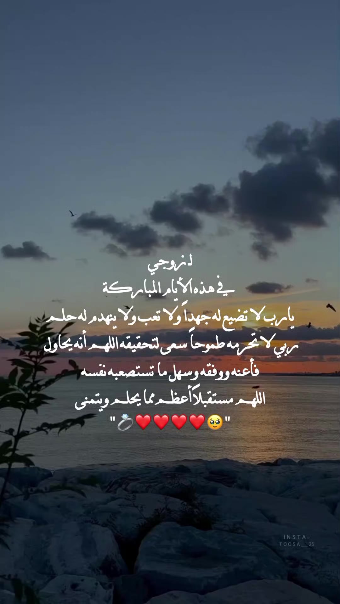 @مُصـممة | تـوسا 𐙚