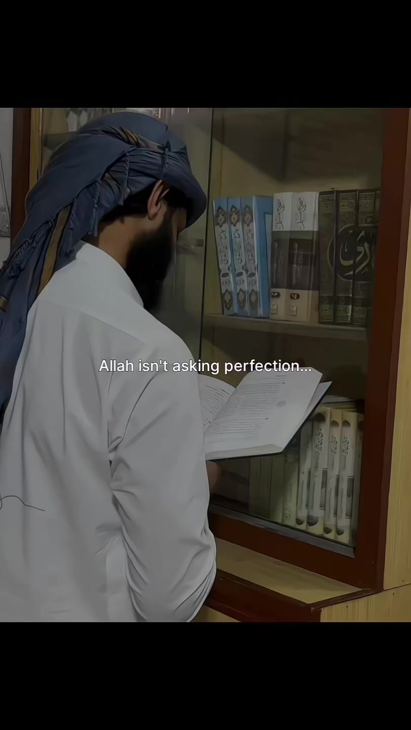 @Halal Mohsin
