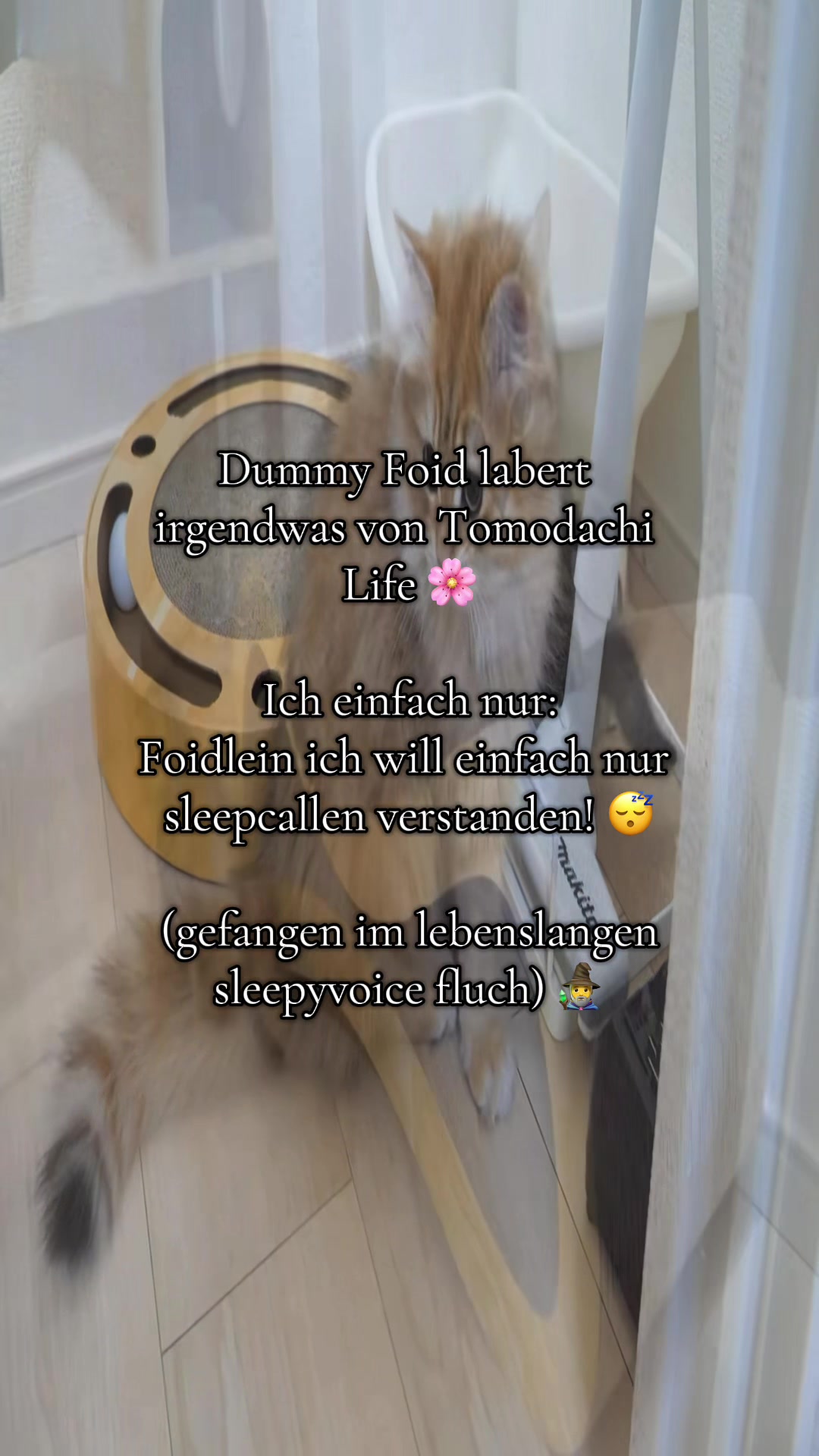 @Eierkopfsalat
