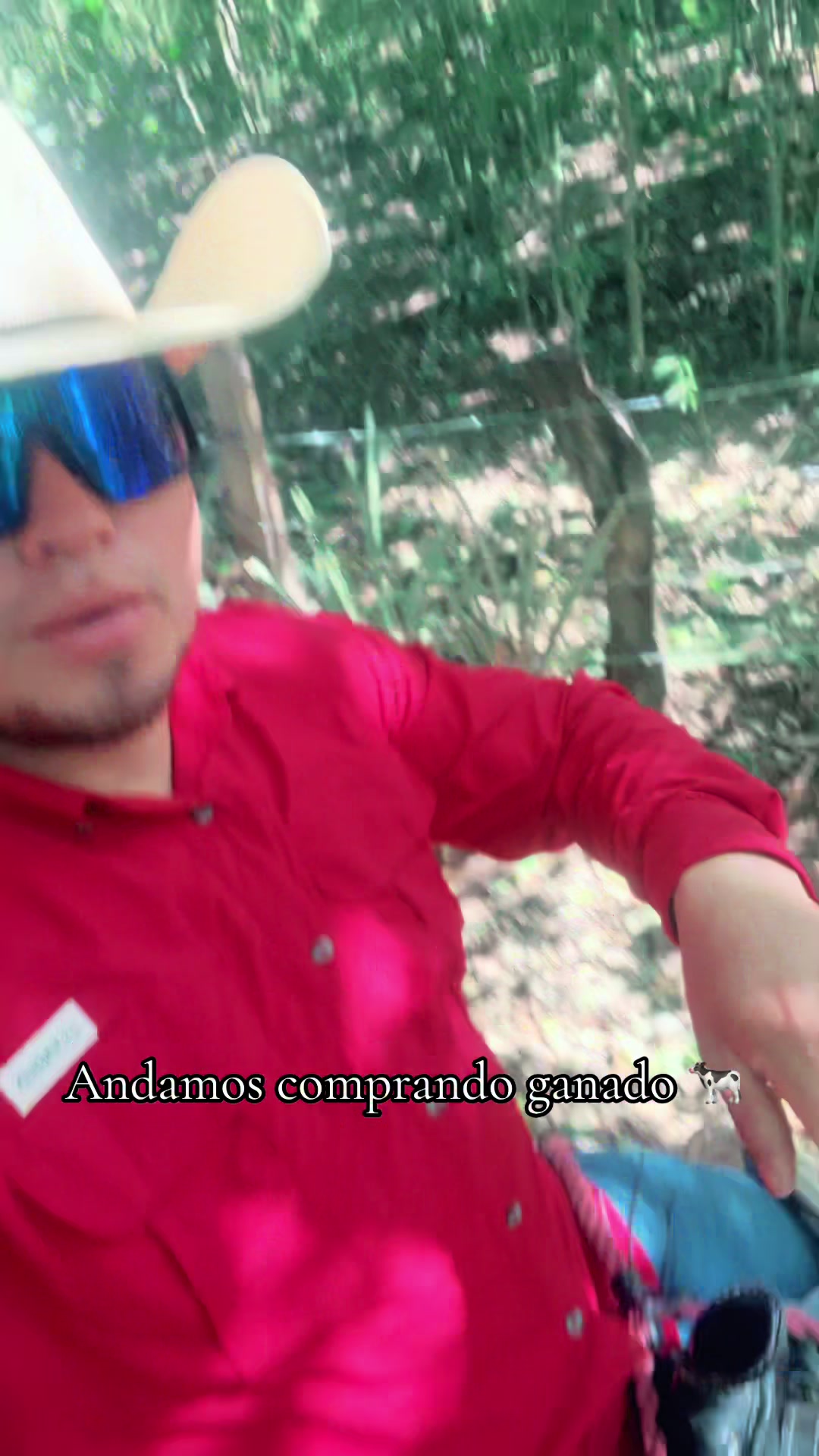 @Rony Zavala