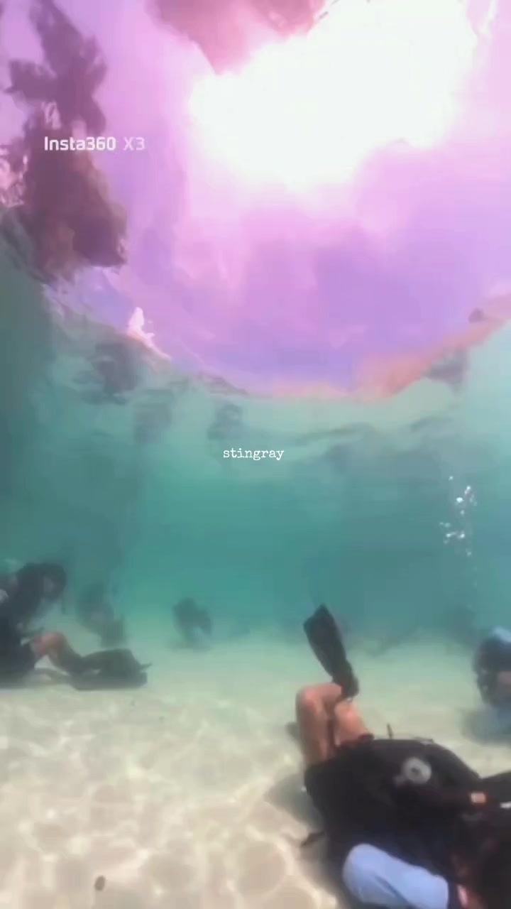 @𝙎𝙩𝙞𝙣𝙜𝙧𝙖𝙮