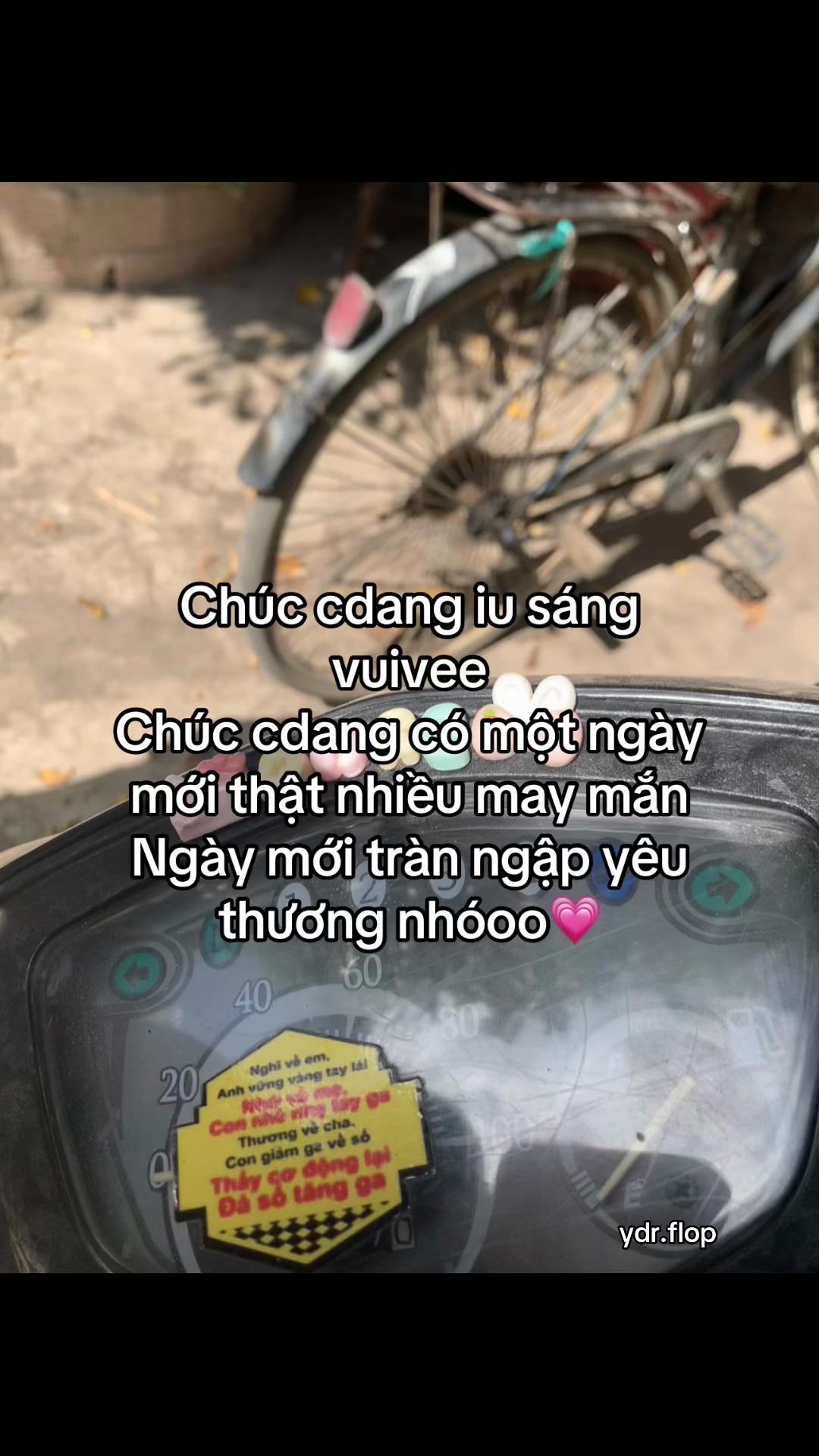 @Măm Tẻnn ᴥ