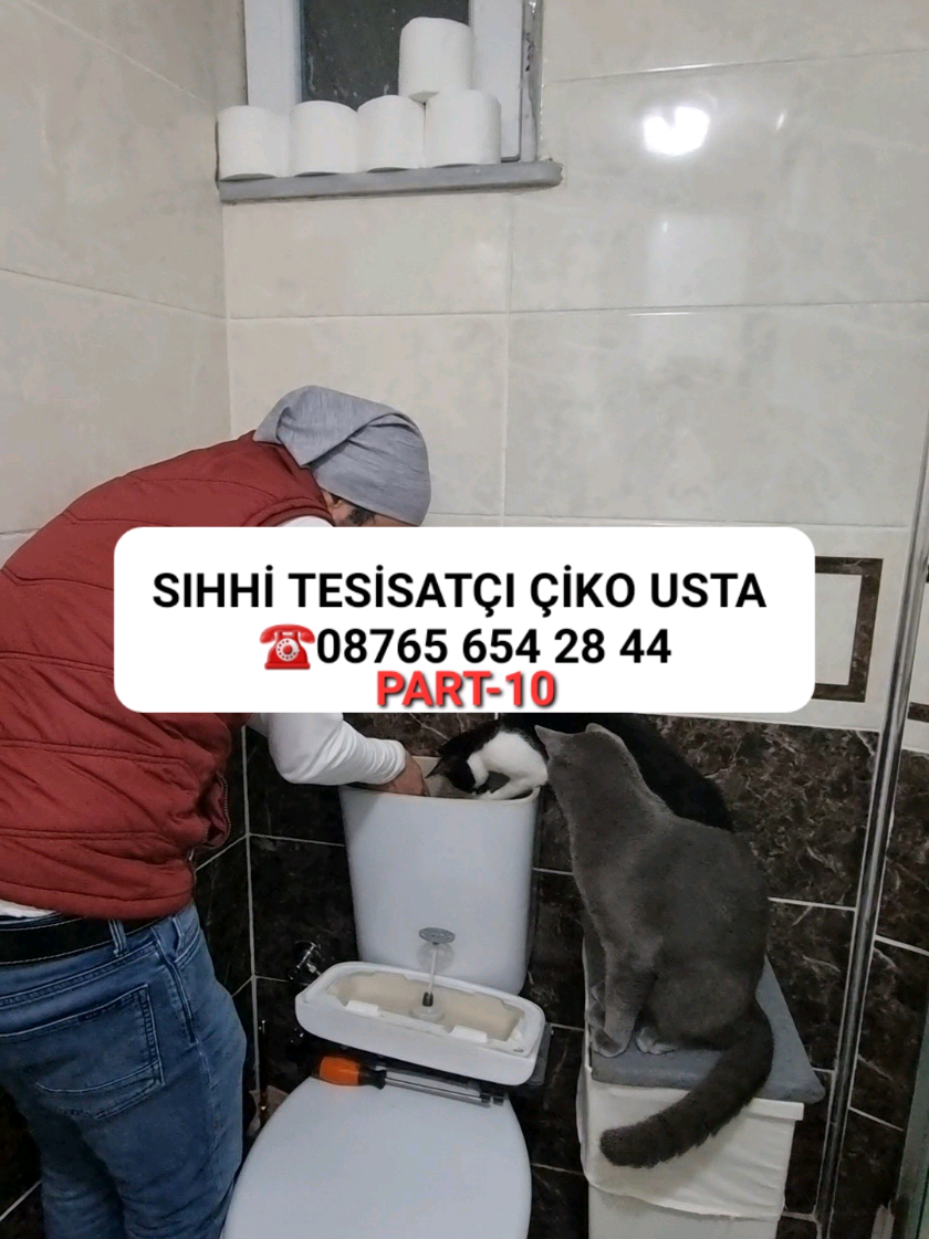 @kedichico
