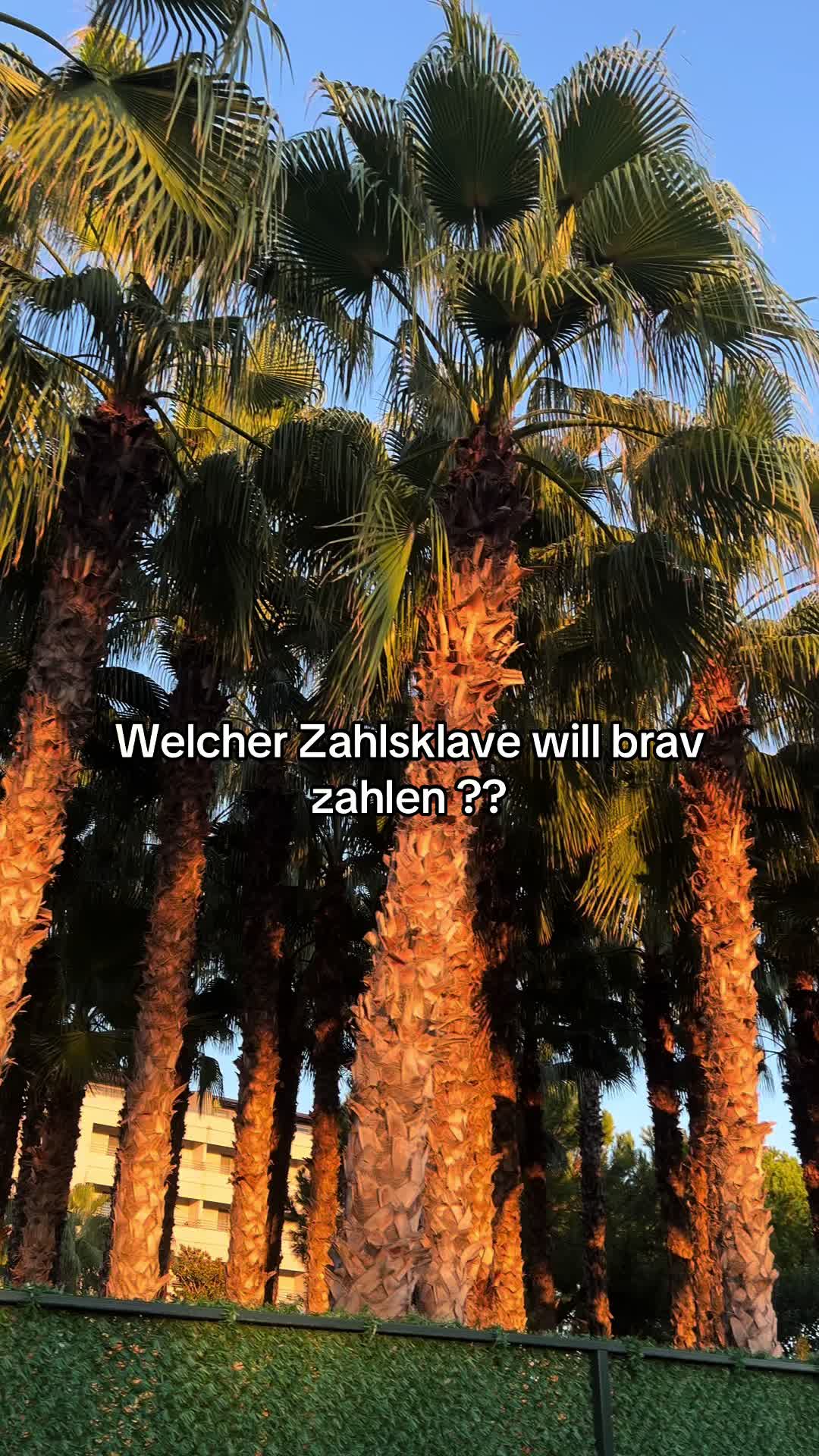 @🐆