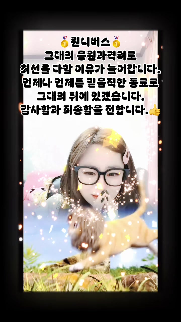 @๐๏ธZingzing๐๏ธ