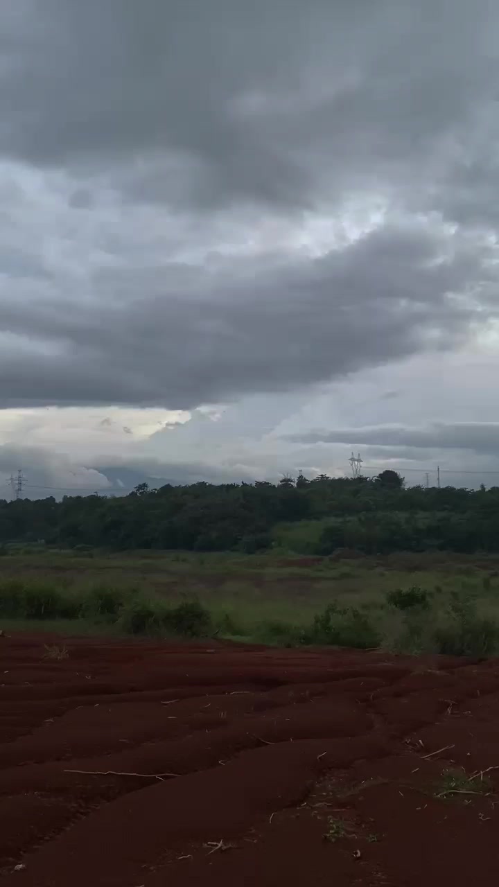 @26_