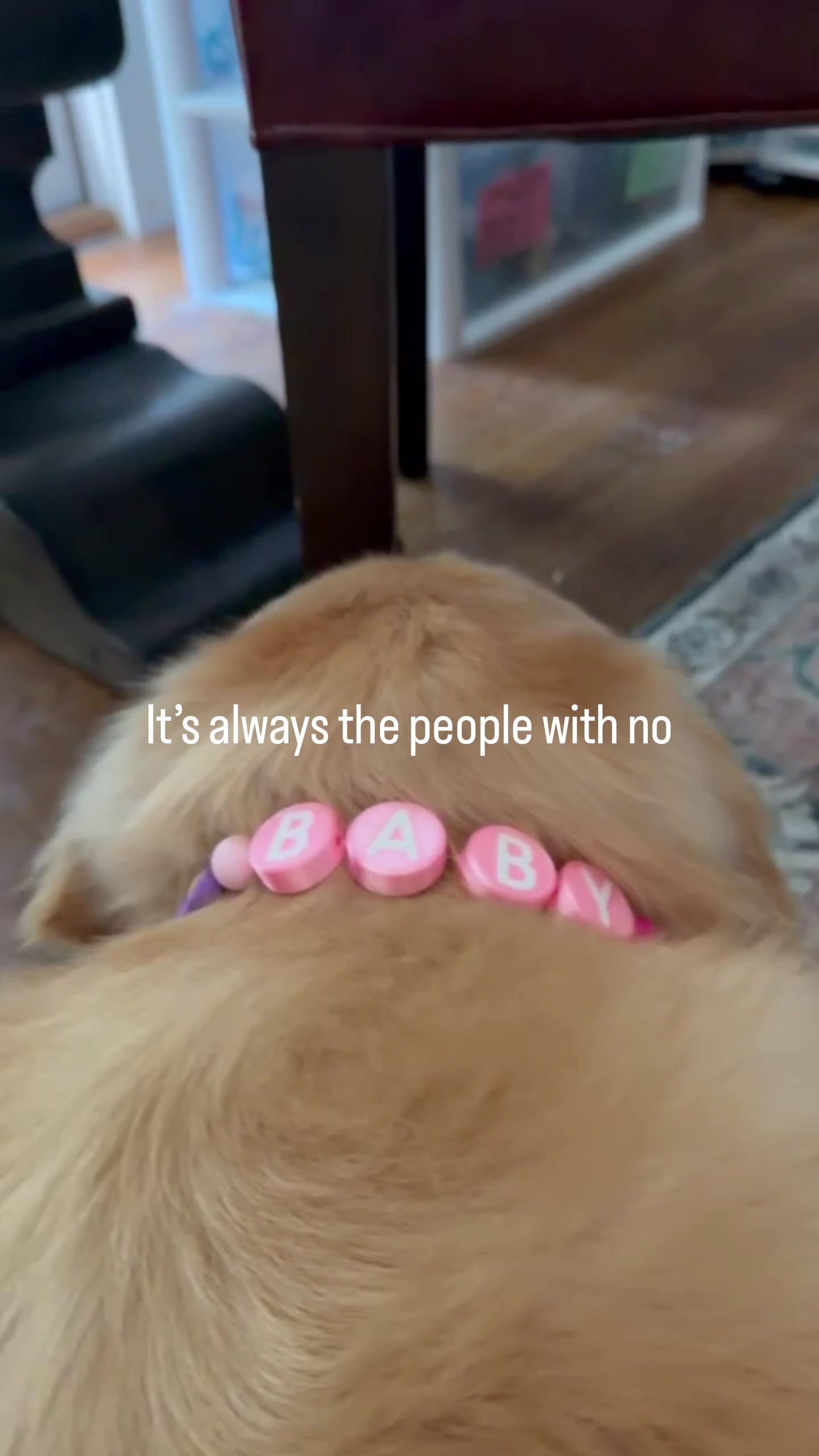 @DogMomisms