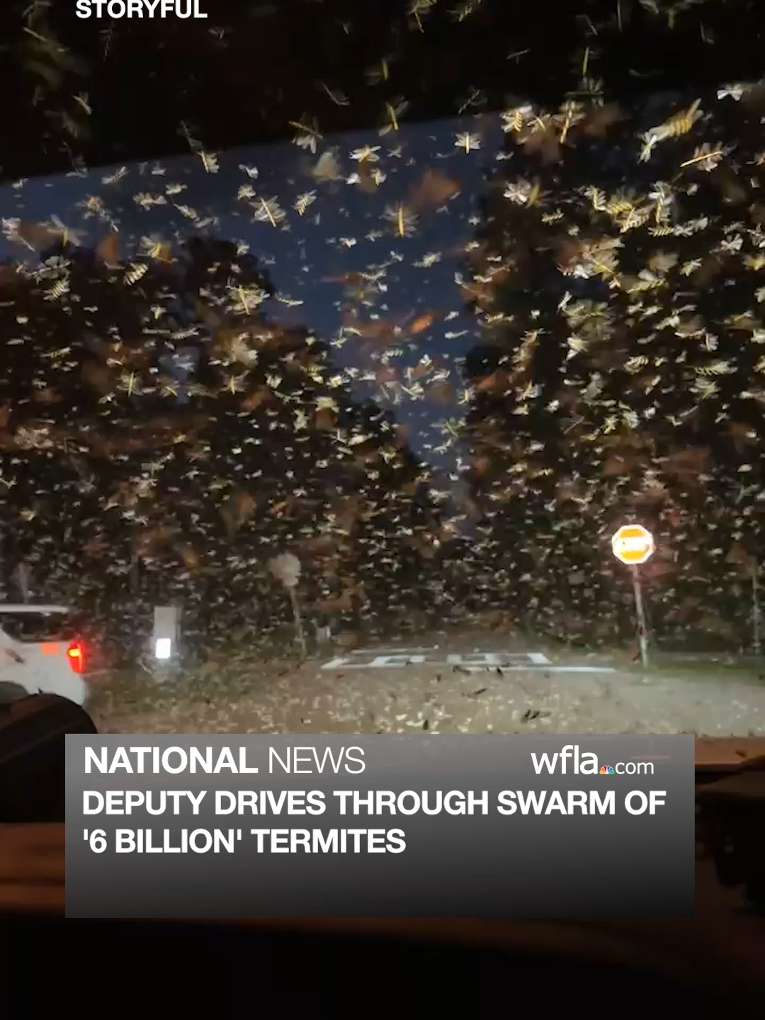 @WFLA News Channel 8