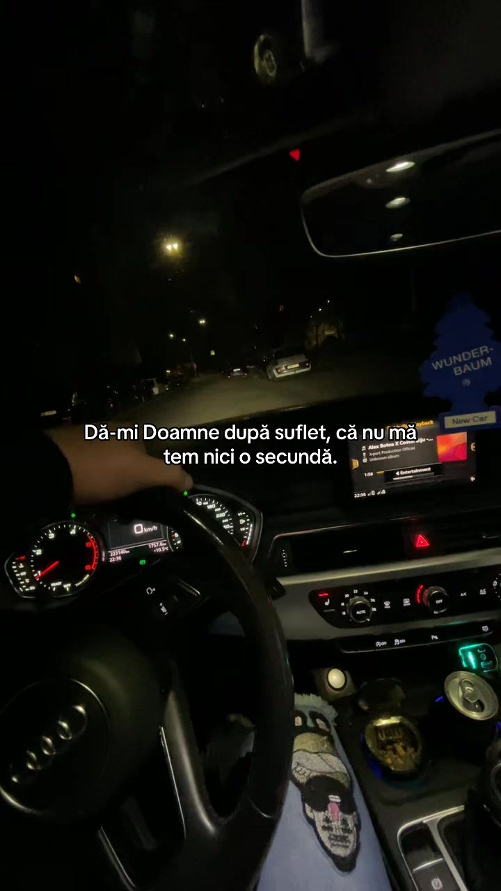 @Valentin Dan