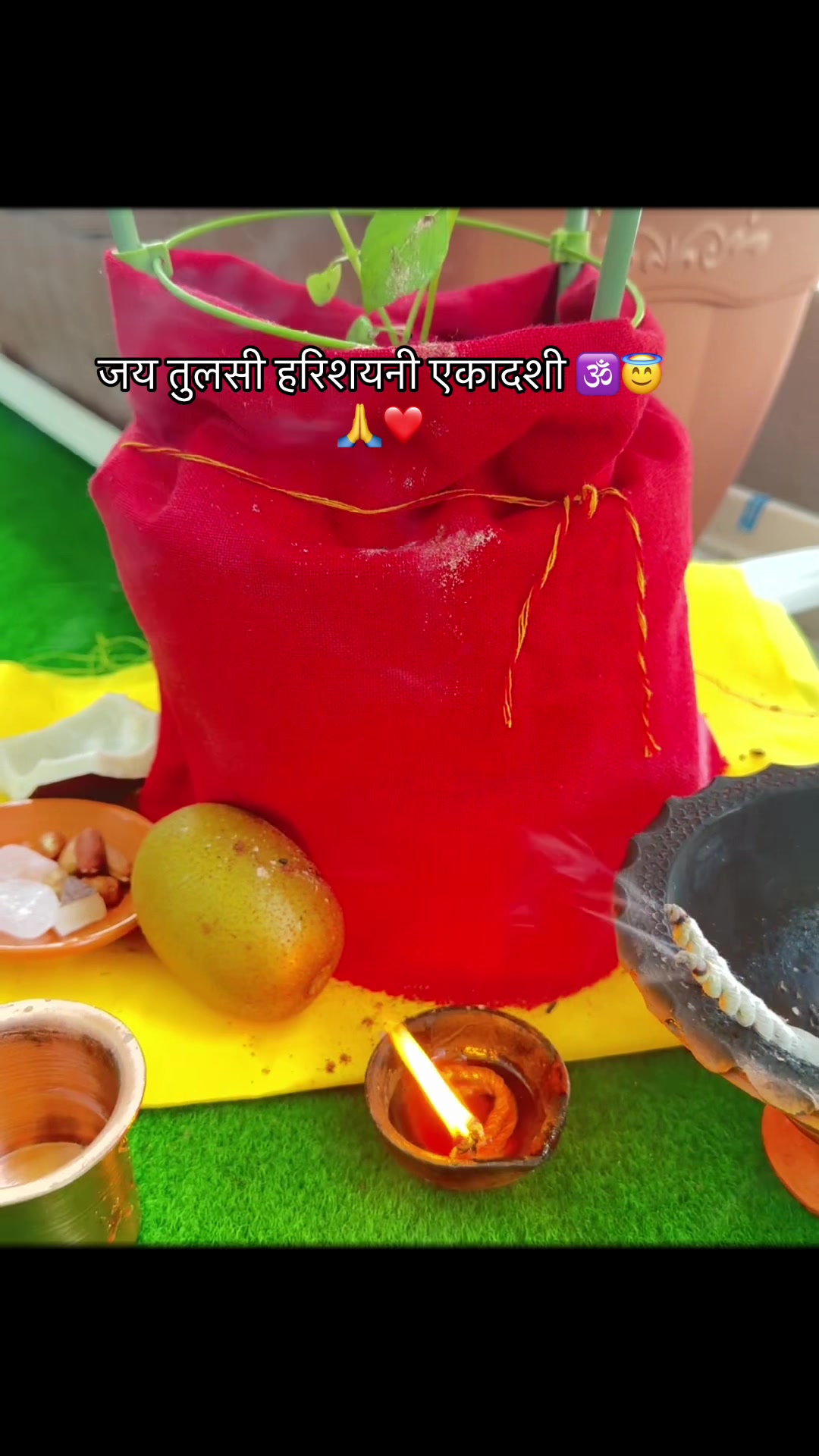 @शना महर्जन (サナ)