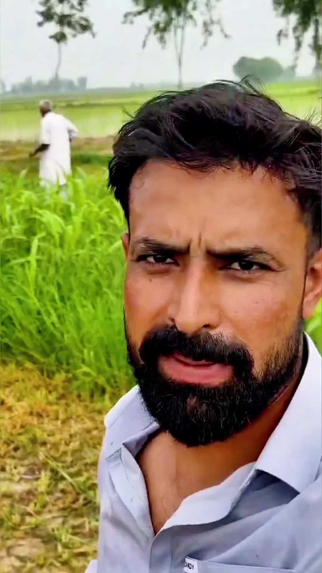 @Waqar Bhinder Dairy Farm