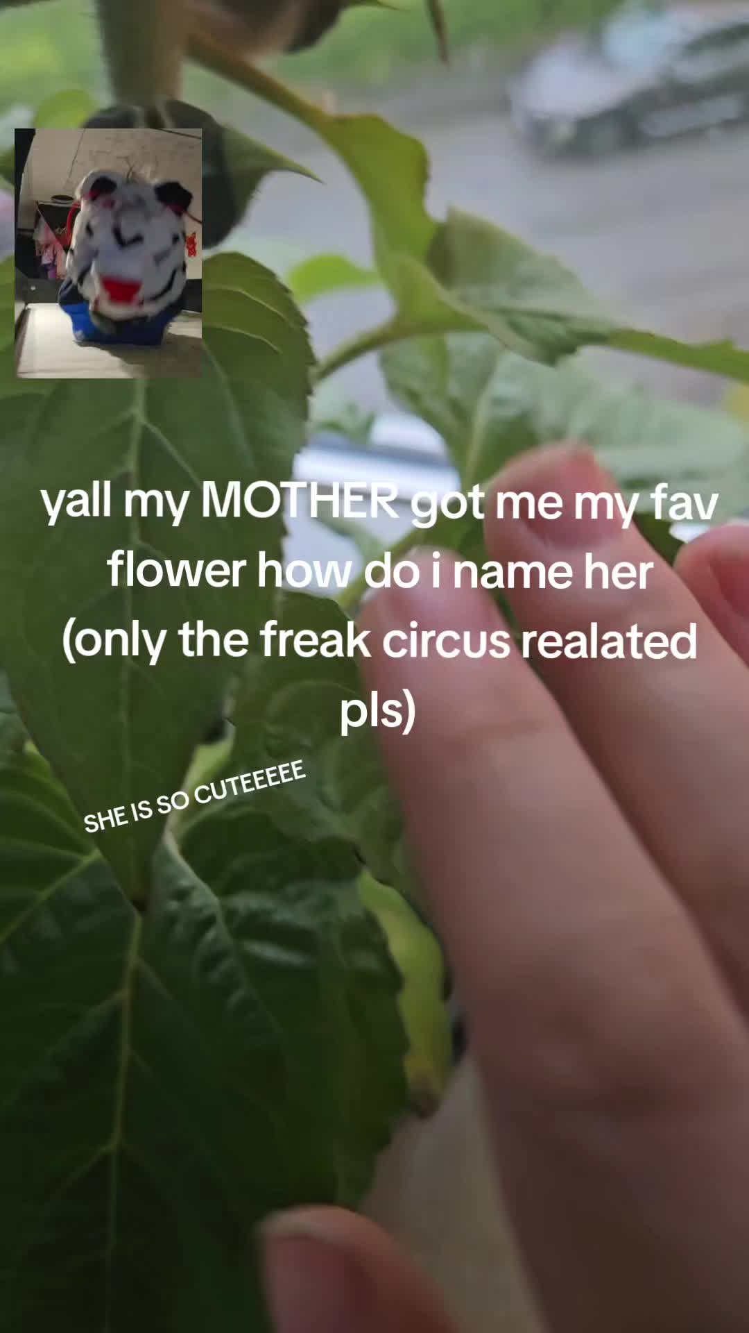 @Strawberry/Toxin