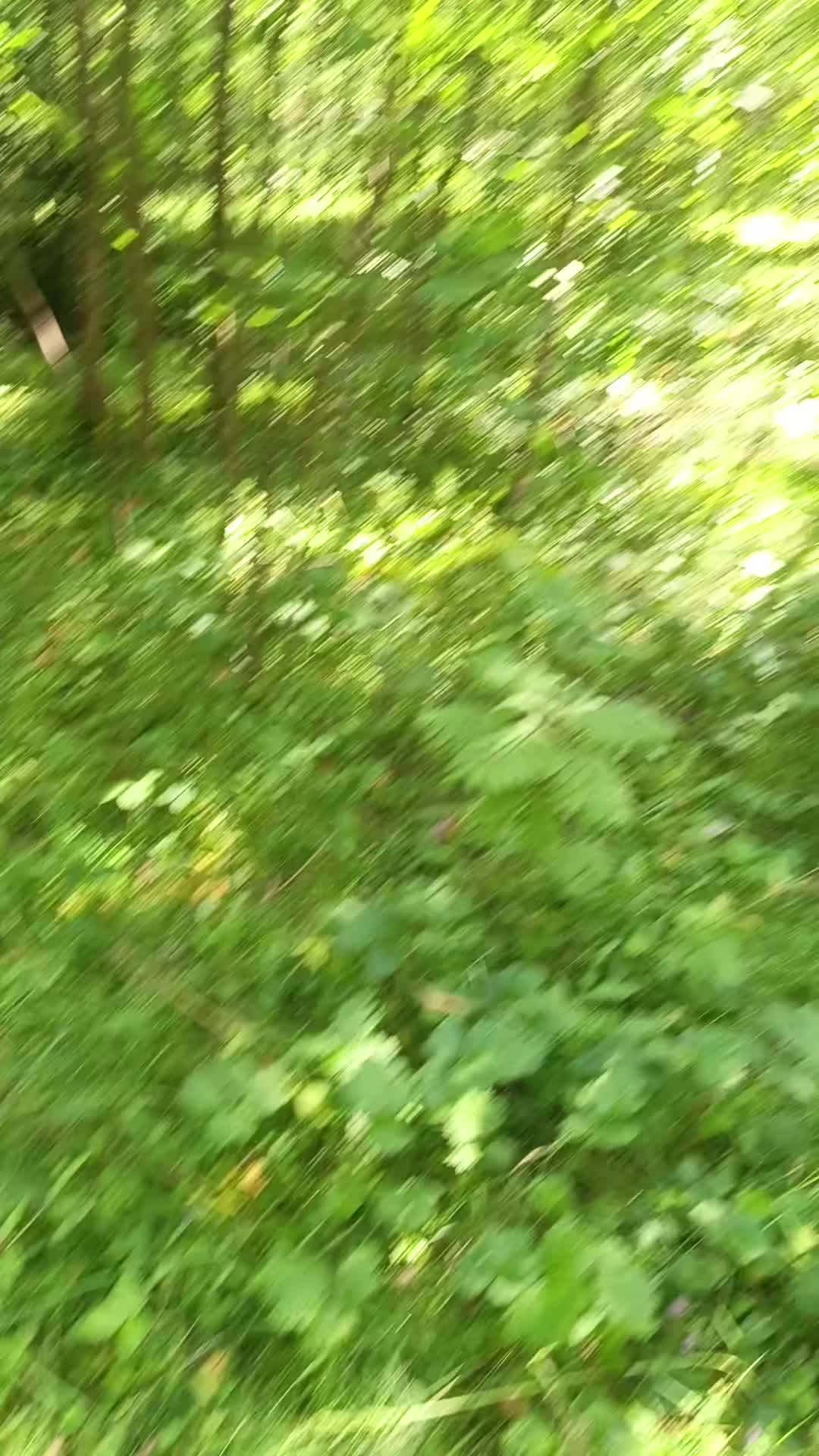 @мучачо