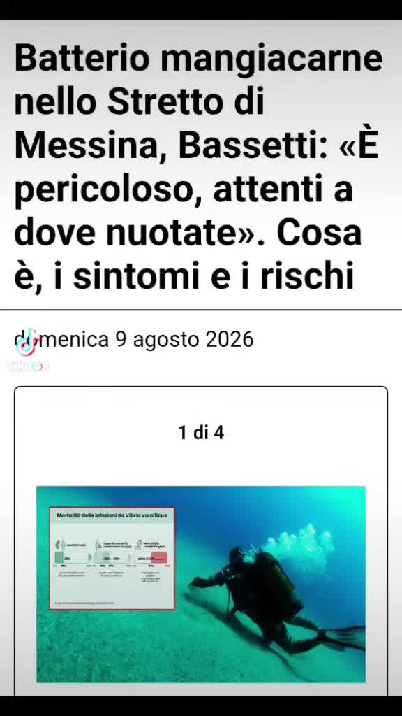 @REGINA TIKTOK