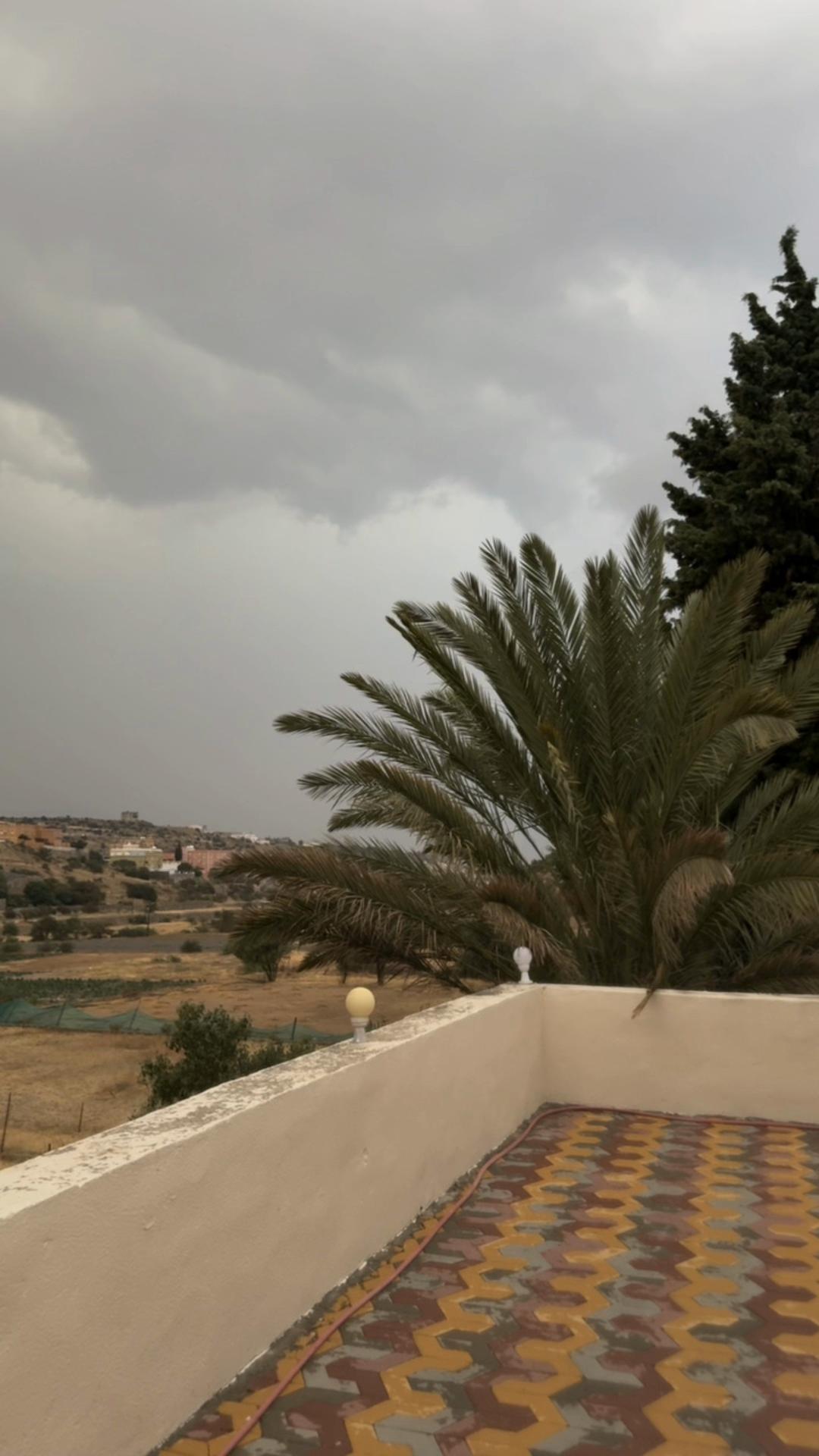 @أحلام 🇸🇦