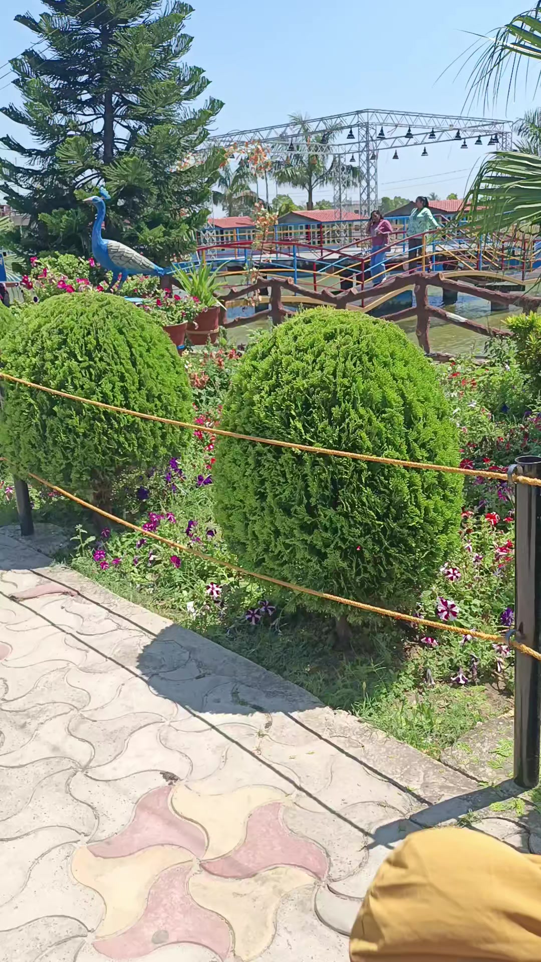 @Janu Khadka