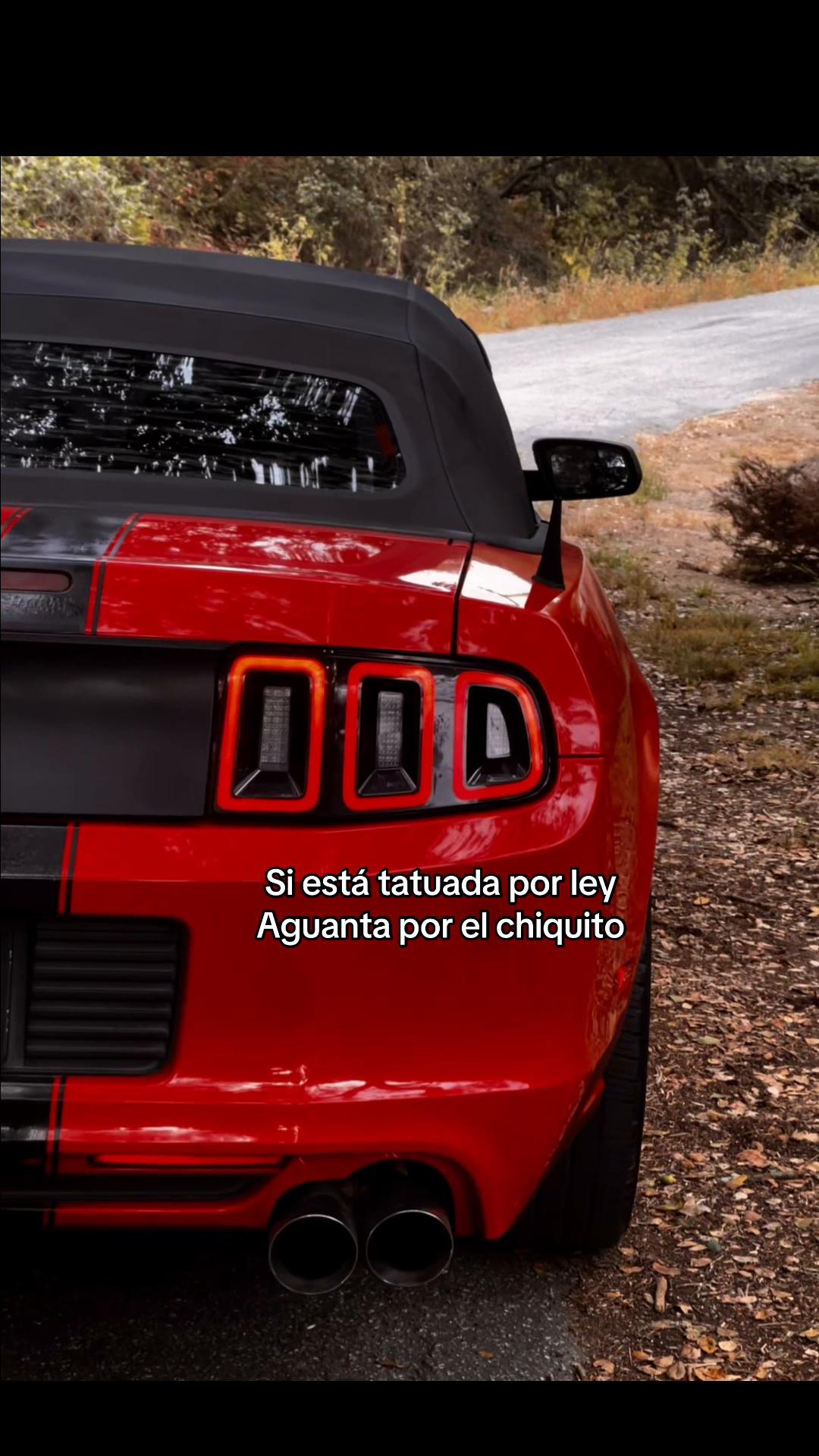 @🧔🏻♂️EL_GUERO