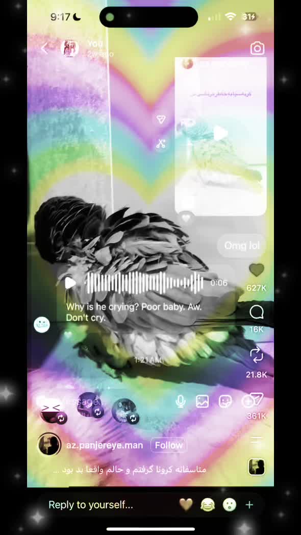 @𓃻crazypoop