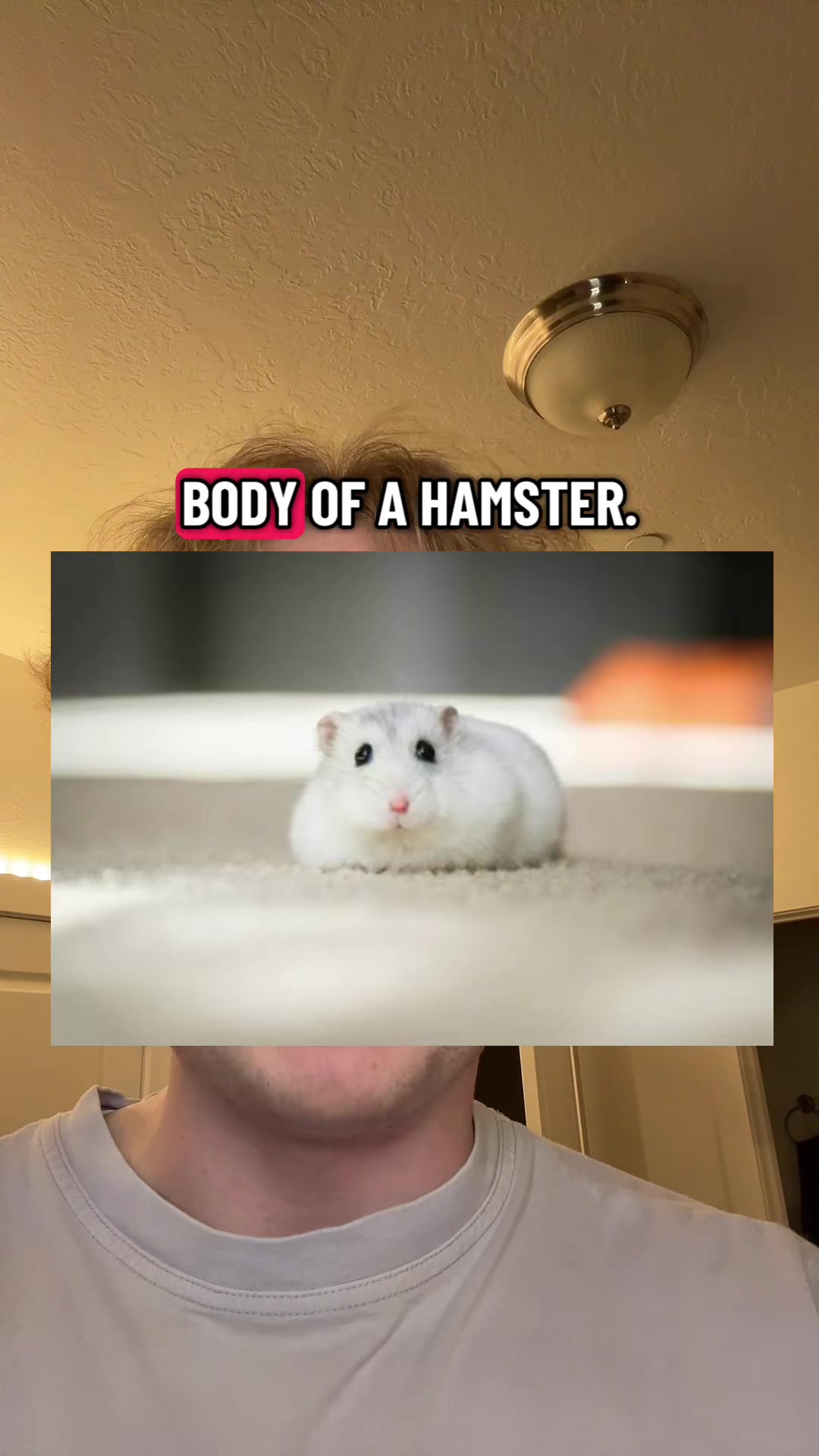 @DapDerDapy