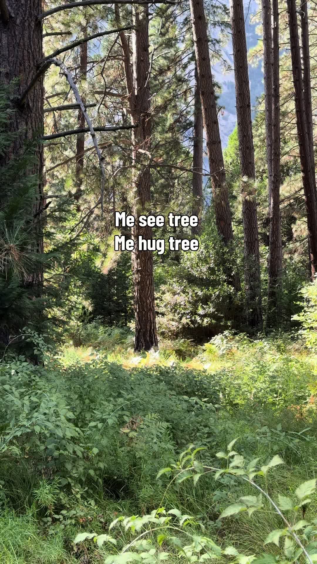 @Paige.elysee