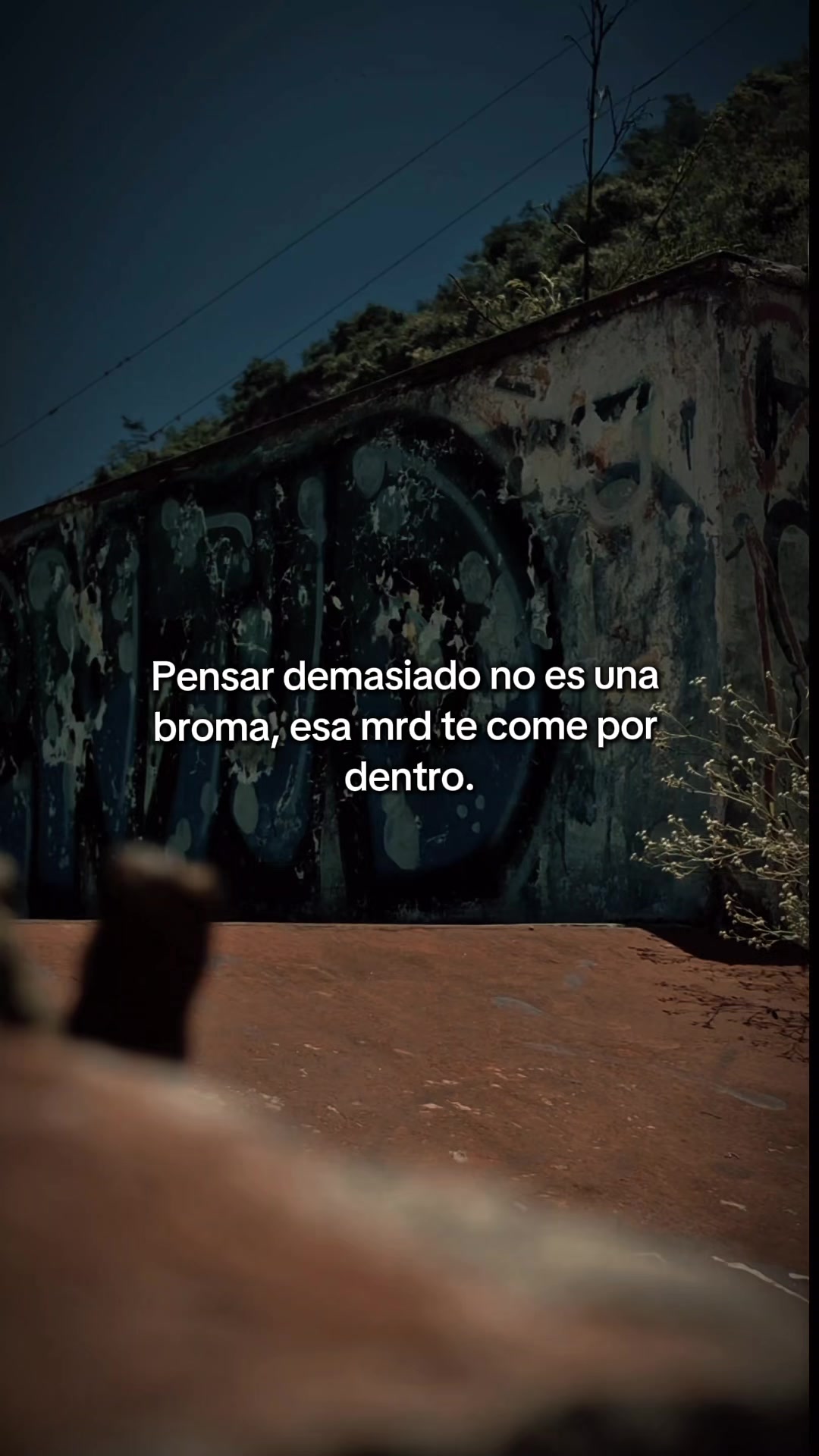 @El-Comis El Rey de la Realidad