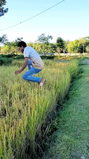 @TAFIN ISLAM