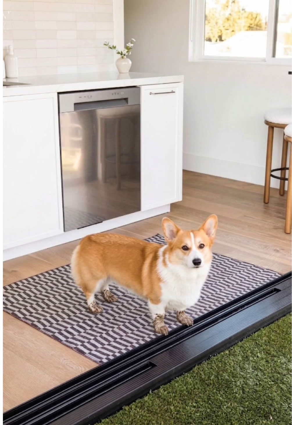 @Lovewag Pets