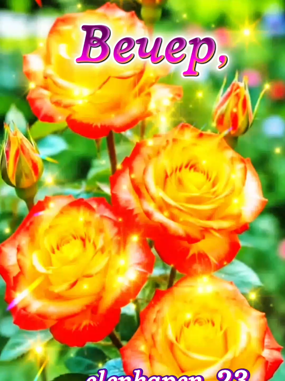@✅꧁♻️༻✿༺Elena༻✿༺♻️꧂