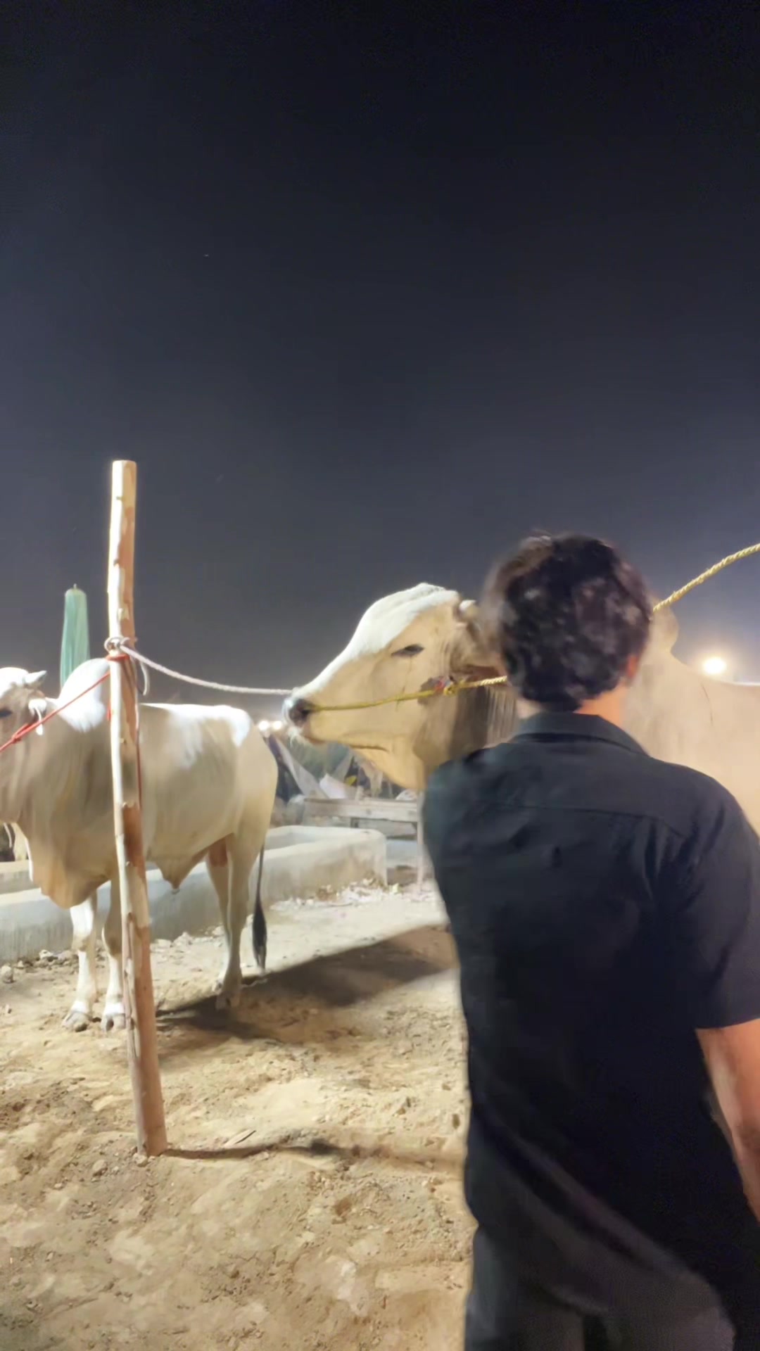 @pindi star