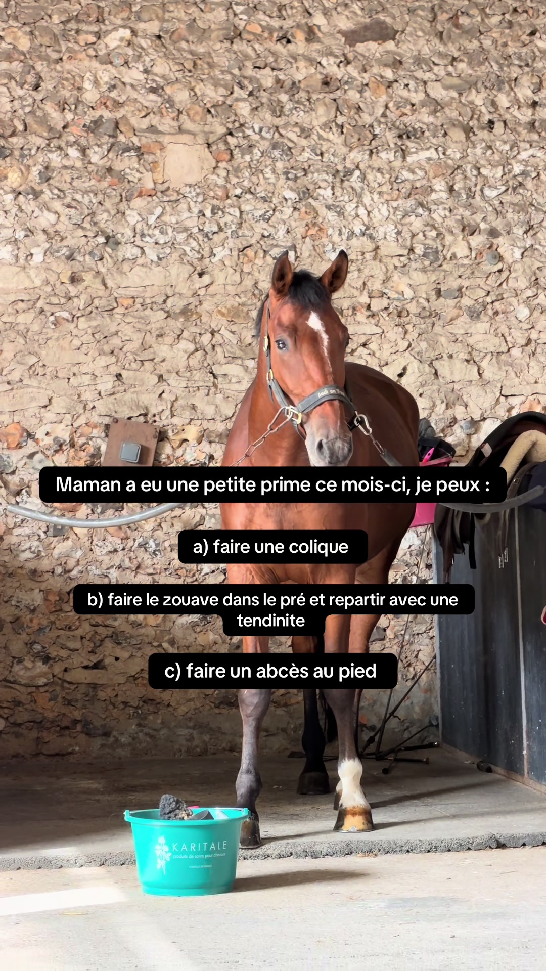 @Laurie et Mathieu 🐴