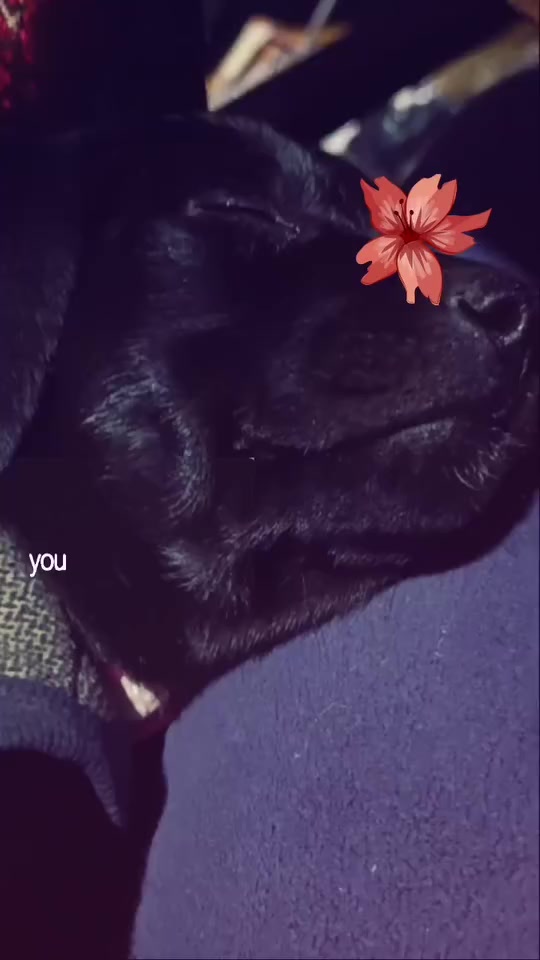 @Miru Miru ❤️