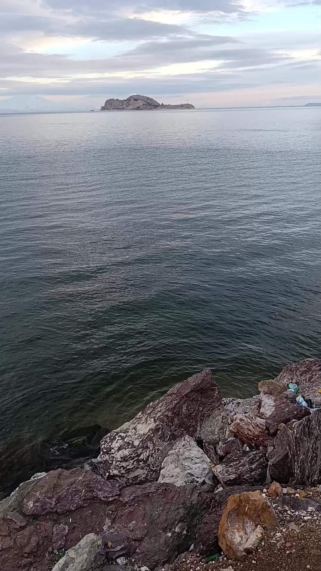 @Veysi Asağ65