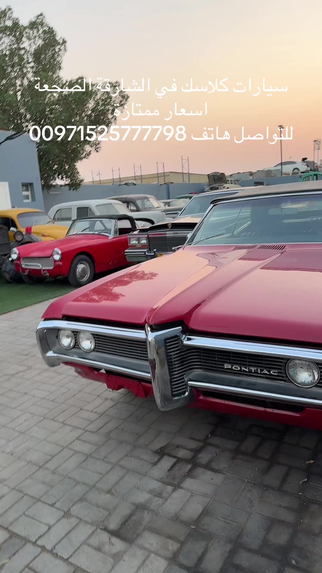 @العربة الذهبية للسيارات