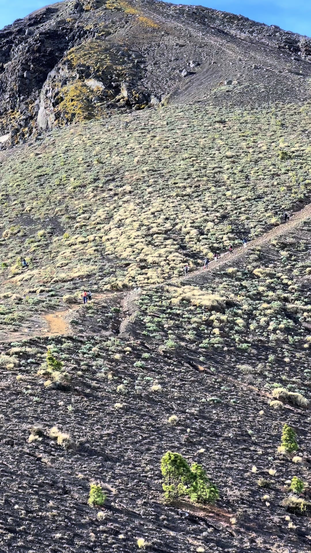 @𝐃𝐢𝐧𝐨 𝐭𝐨𝐮𝐫&rsquo;𝐬🦖