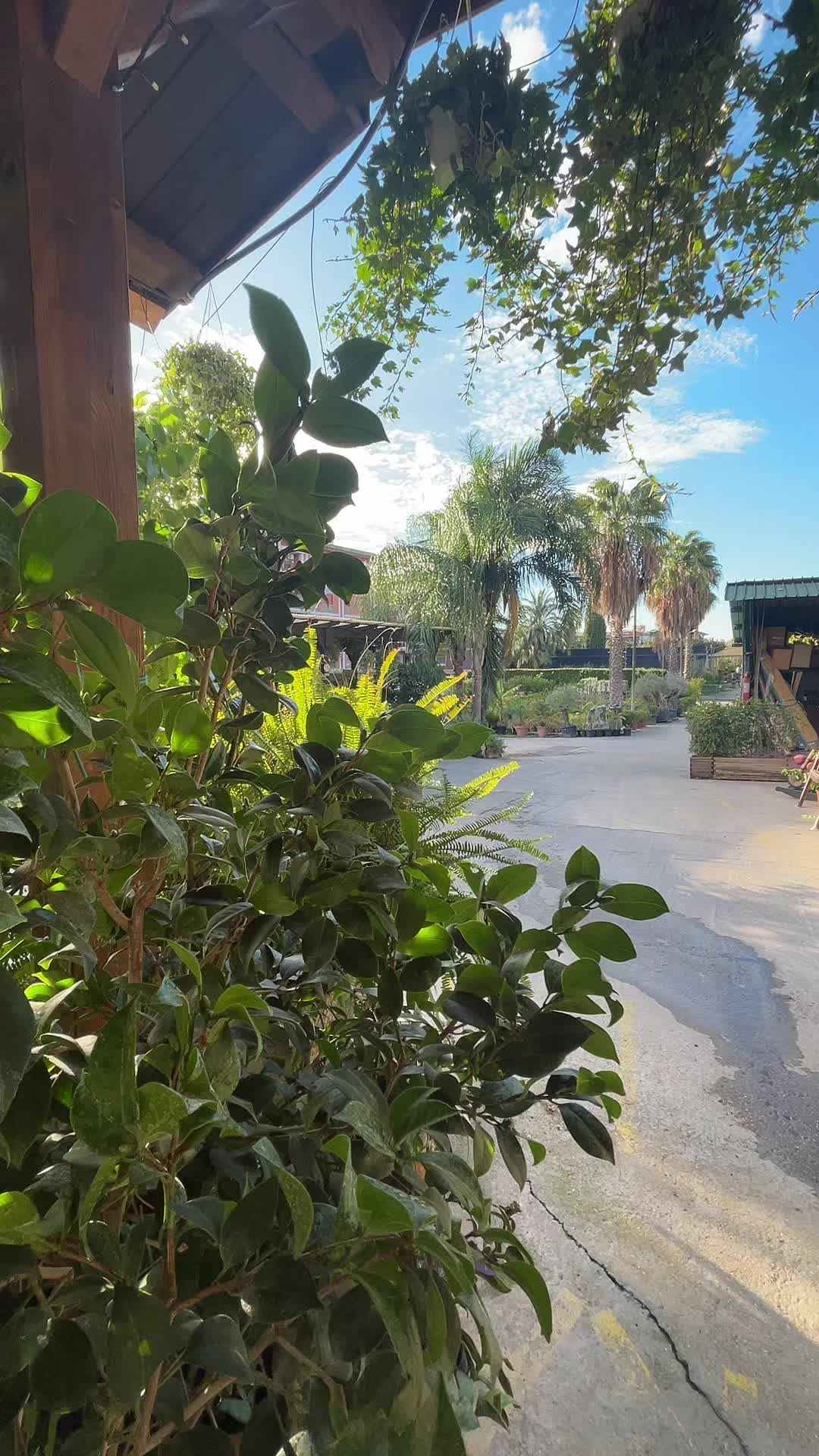 @vivaioanticogarden