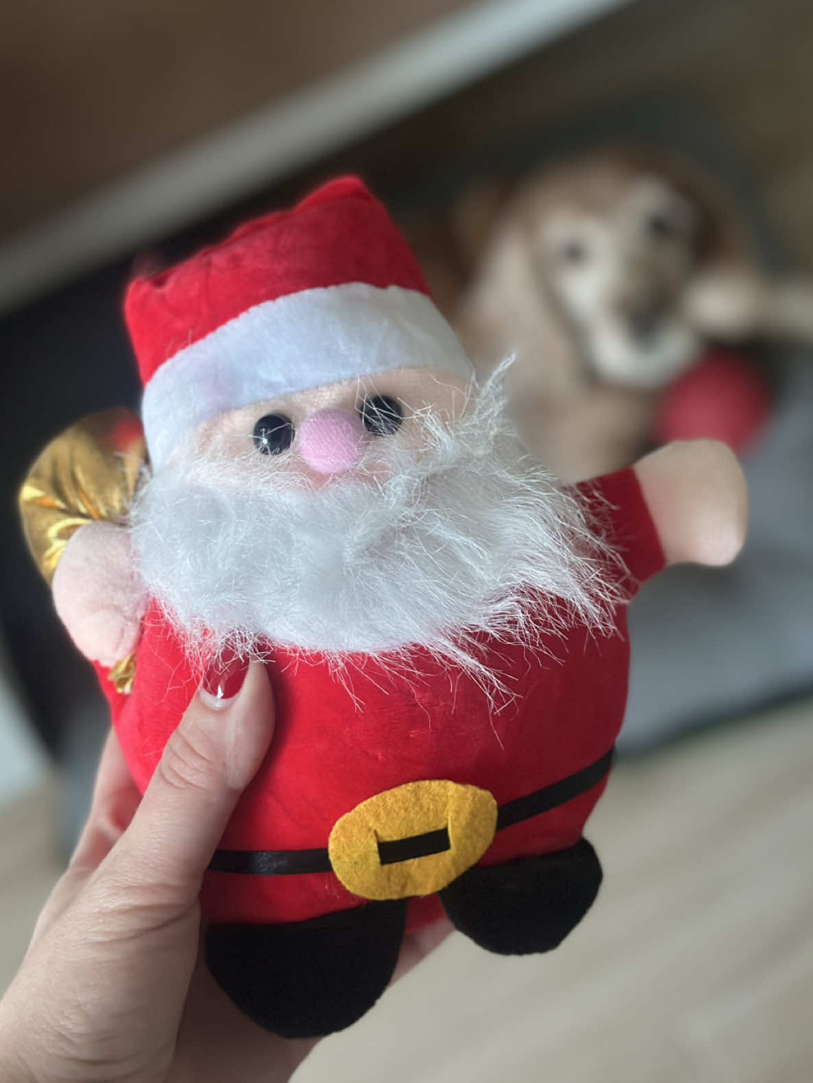 @𝑳𝒐𝒍𝒚𝒂