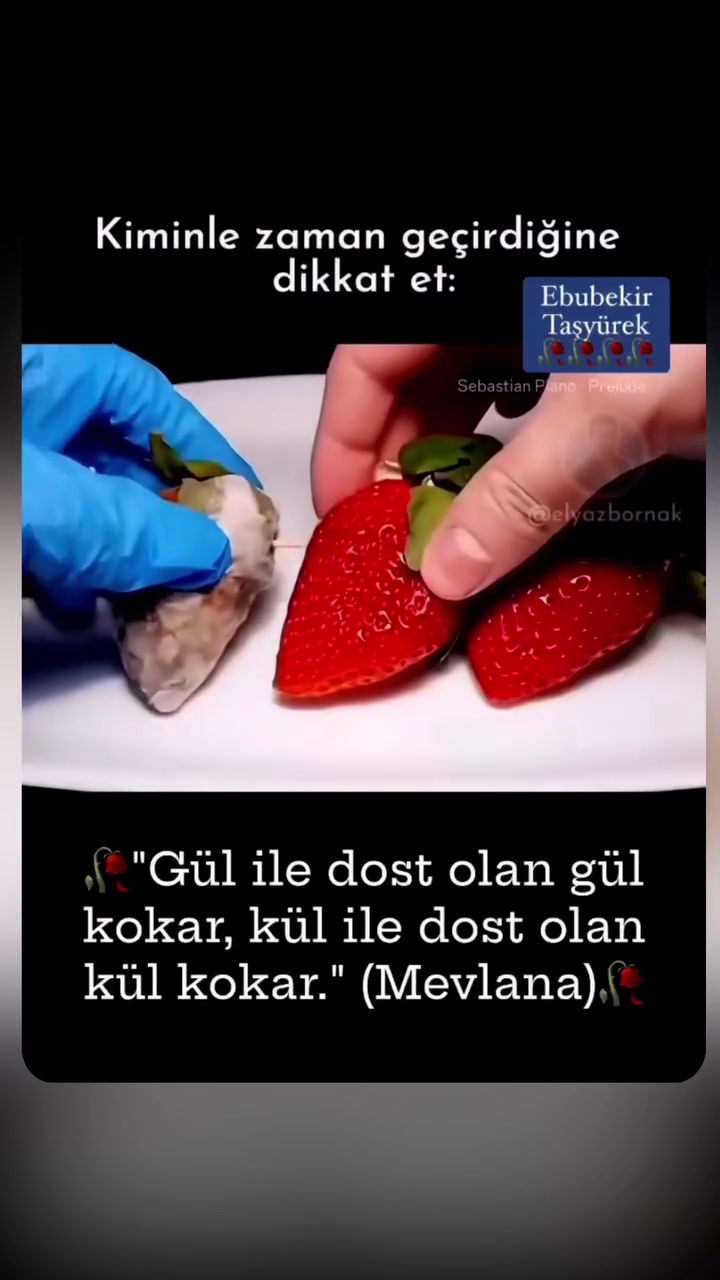 @hasan_hakan_bayraktar