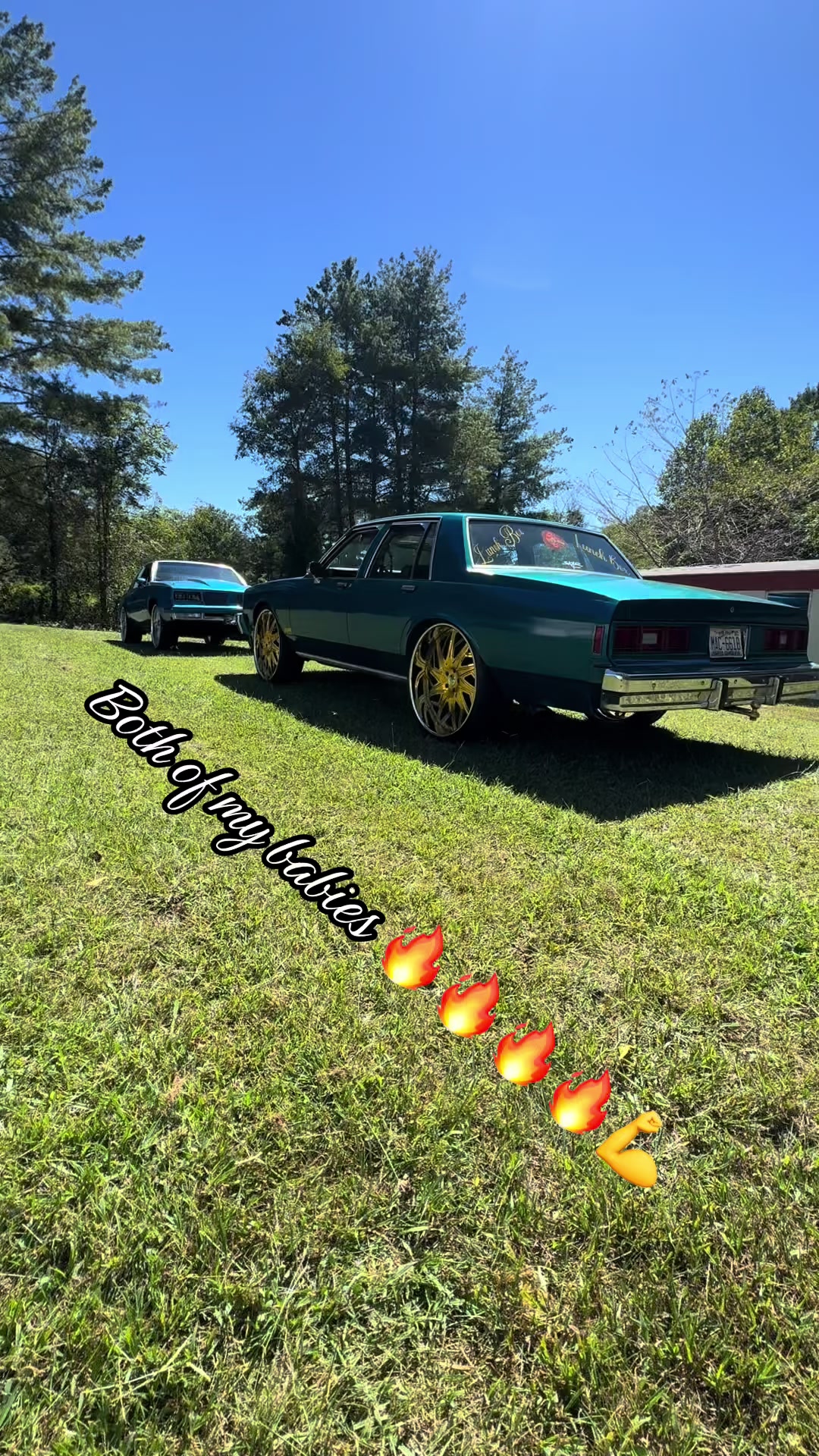 @mrdropback