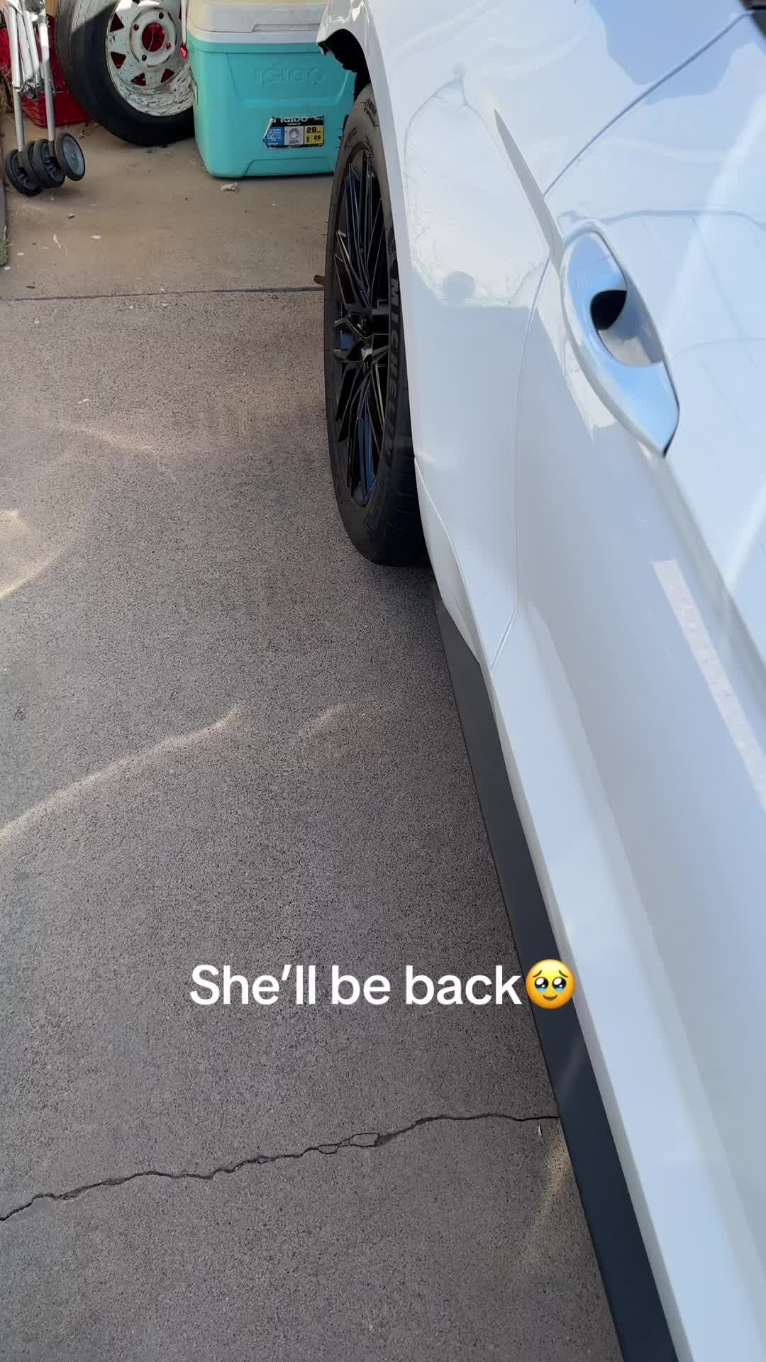 @5.0 Snowyy