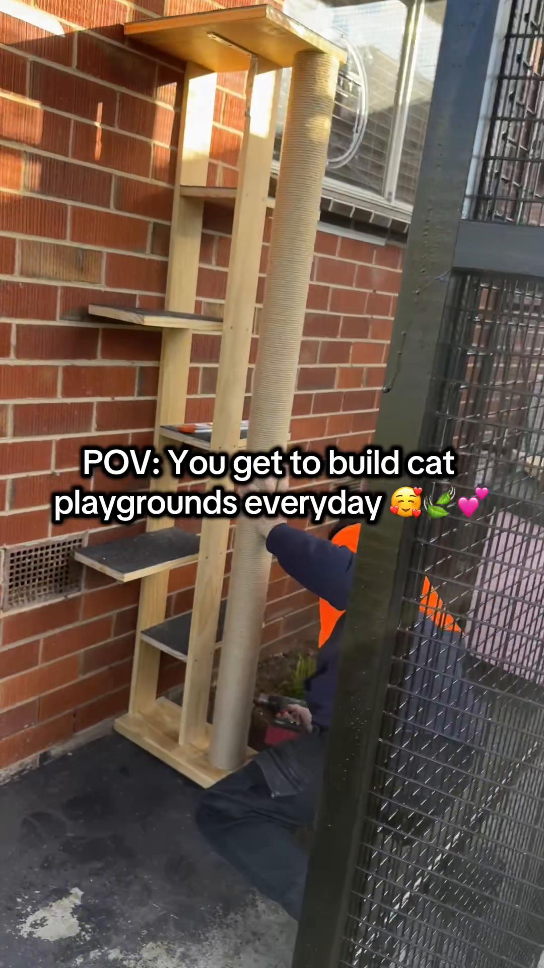 @Backyard Catio Builder